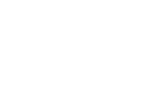 Moll Finishing Systems Logo